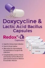 多西环素乳酸乳杆菌 Doxycycline & Lactic Acid Basillus Capsules - 10 x 10 Capsules 100粒 by Mits - 图片 3